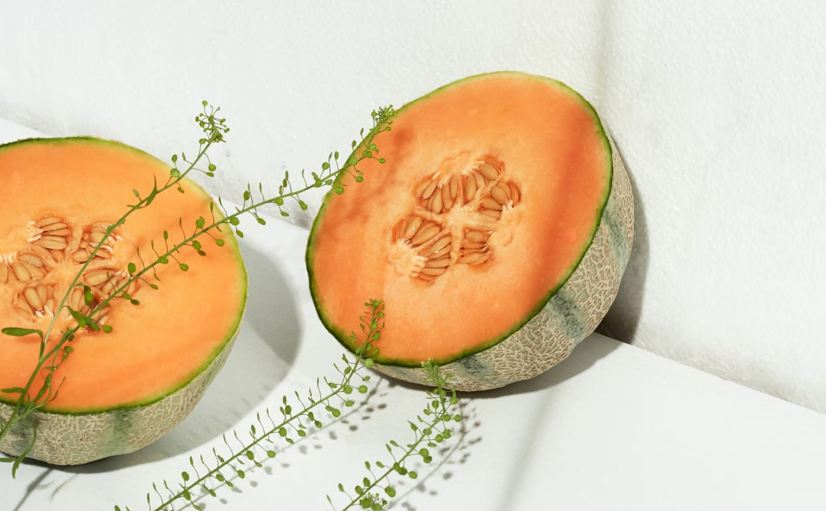 Organic Blog 5